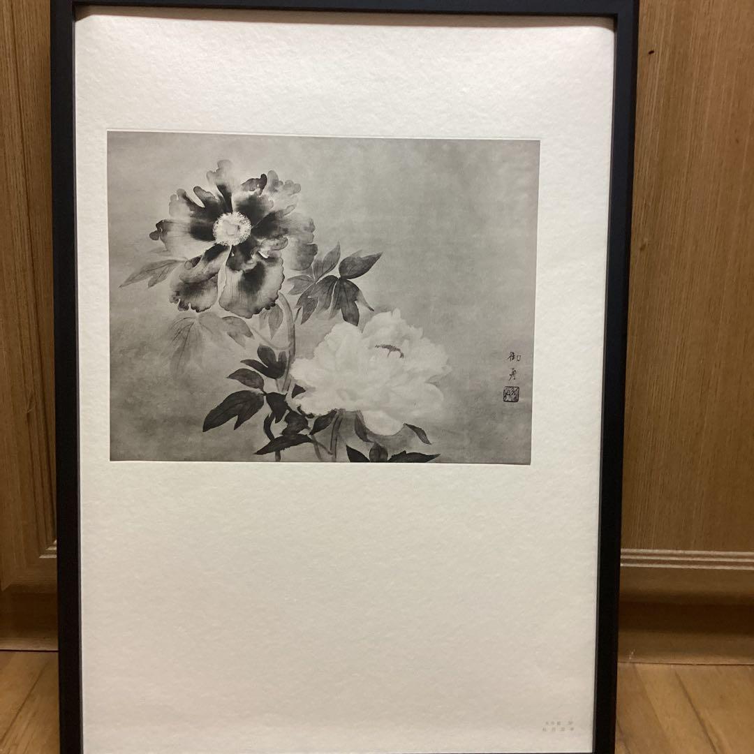 天才画家　速水御舟　作品集大作編　便利堂監修　NO 【50 牡丹双華】画集