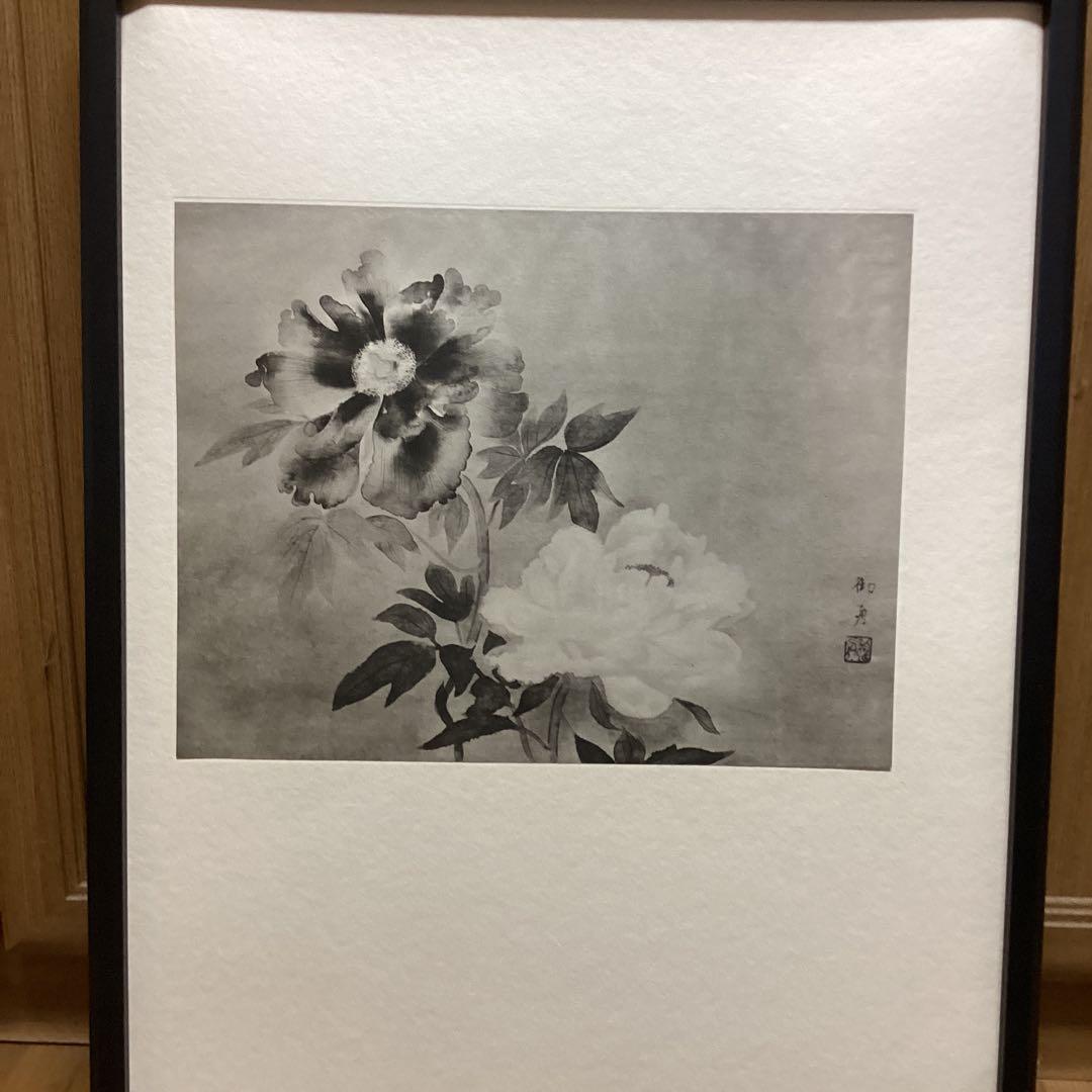 天才画家　速水御舟　作品集大作編　便利堂監修　NO 【50 牡丹双華】画集