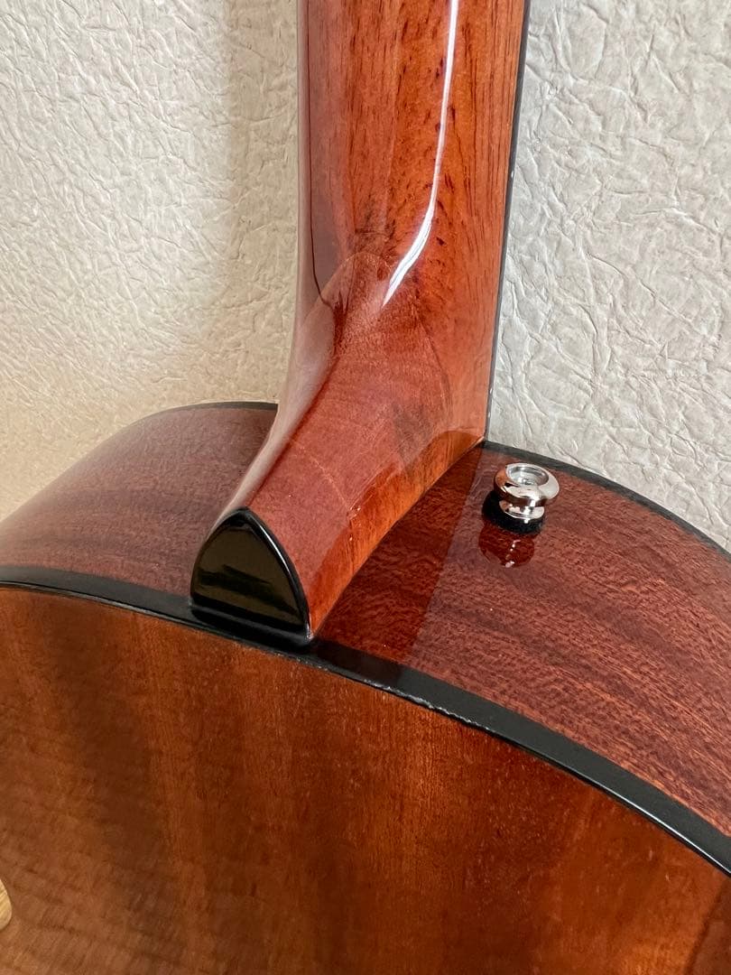 Fender 3/4 Sonoran California Seriesケース弦