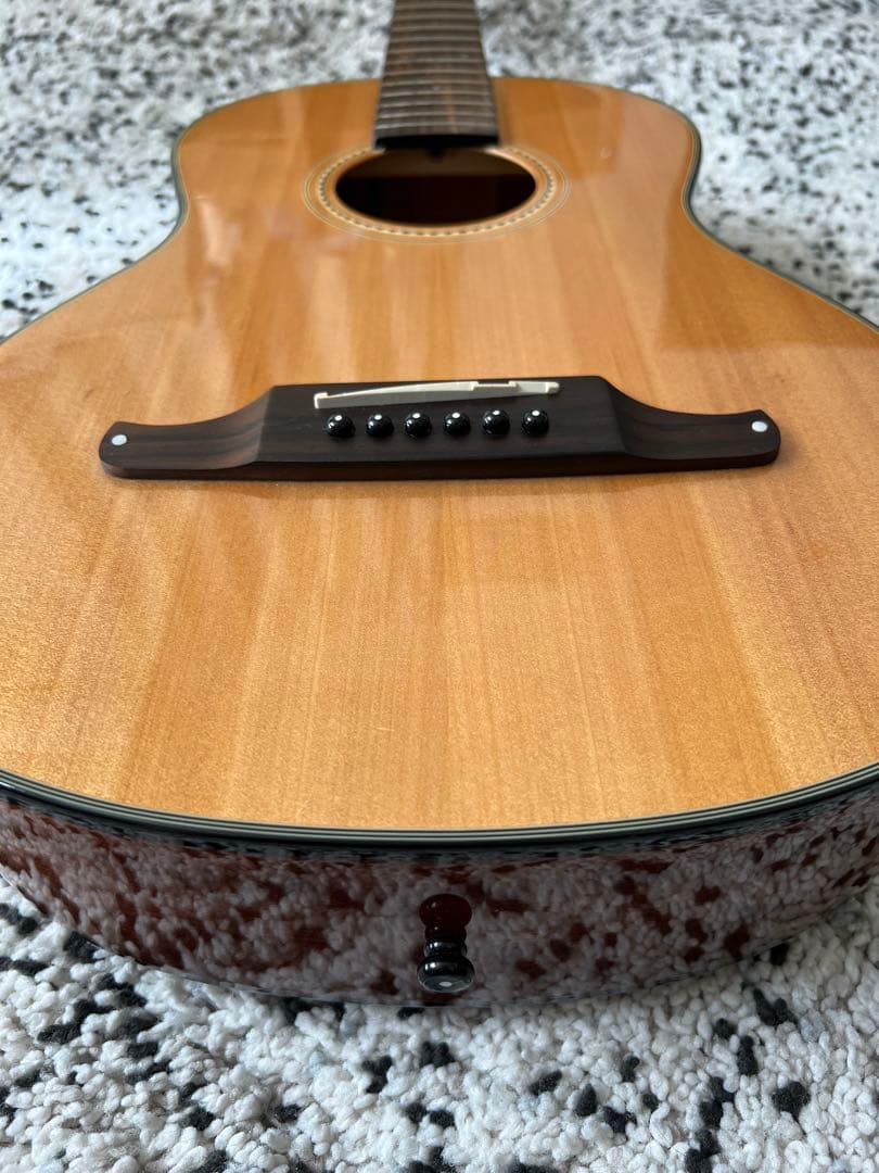 Fender 3/4 Sonoran California Seriesケース弦