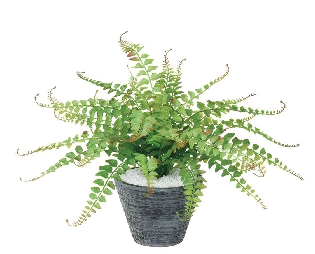 光触媒　人工観葉植物　ウォールグリーン　フェイクグリーン　ワイルドグラスファン@