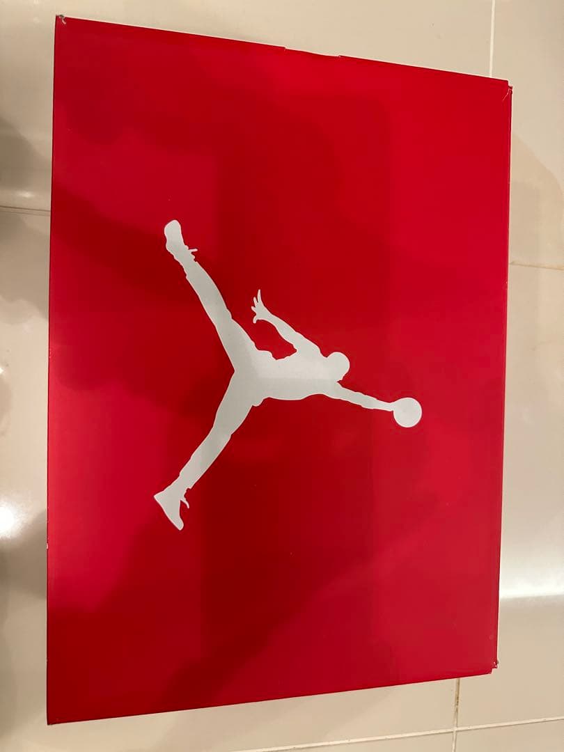 【新品未使用】Nike Air Jordan 6 Retro 26.5cm