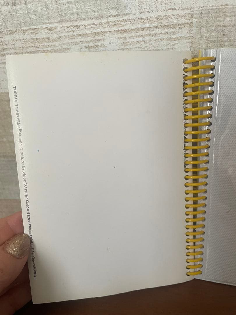 【廃盤】ディズニー リトル・マーメイド フォトアルバム 2冊セット スパイラル式