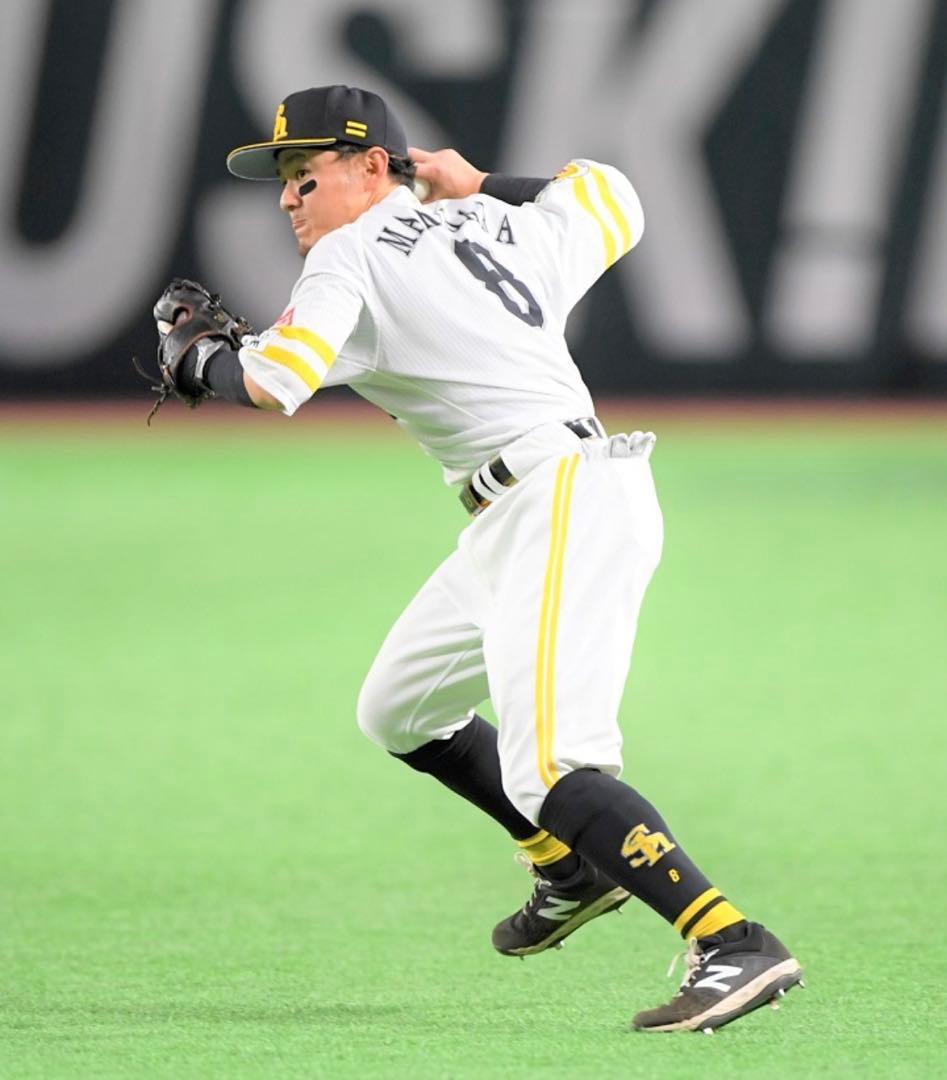 ソフトバンクホークス　牧原大成 #8　バット NPBマーク 支給品　実使用
