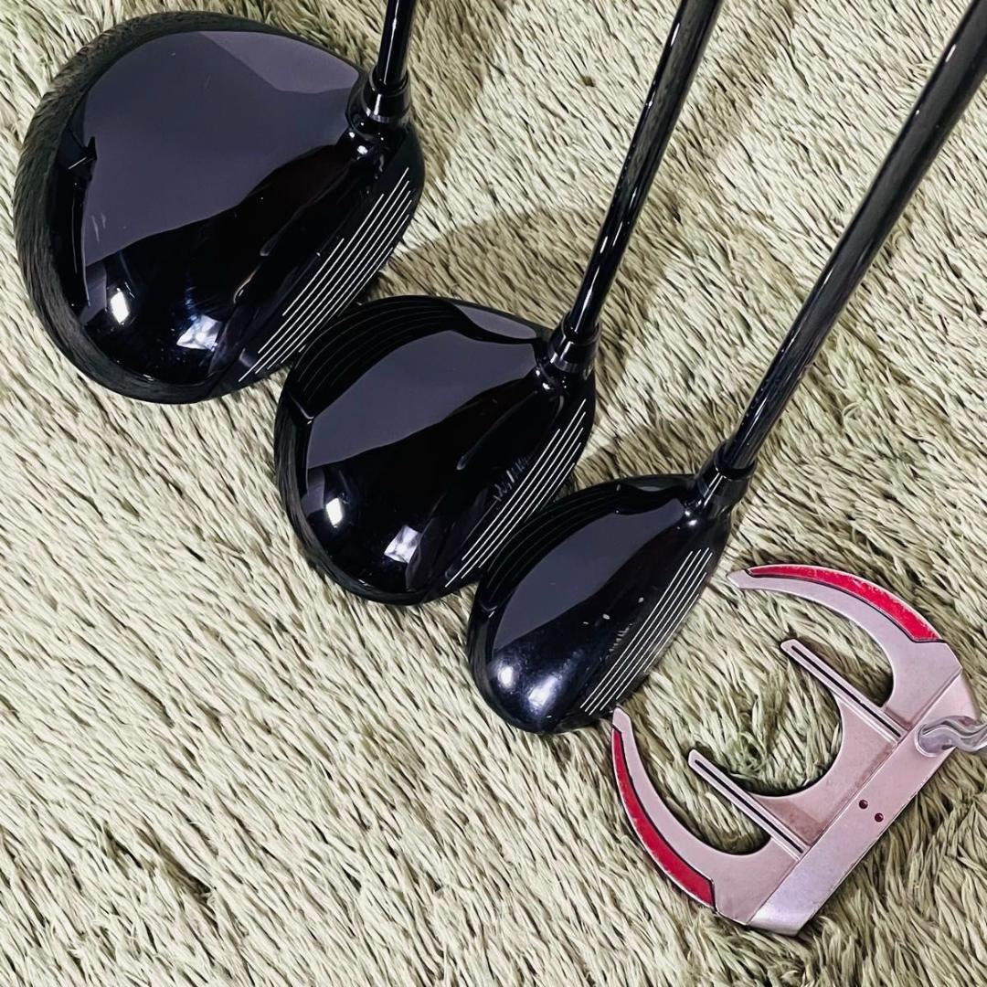 ミズノプロ モデルE 12本セット メンズゴルフ 初心者 入門 大人気モデル