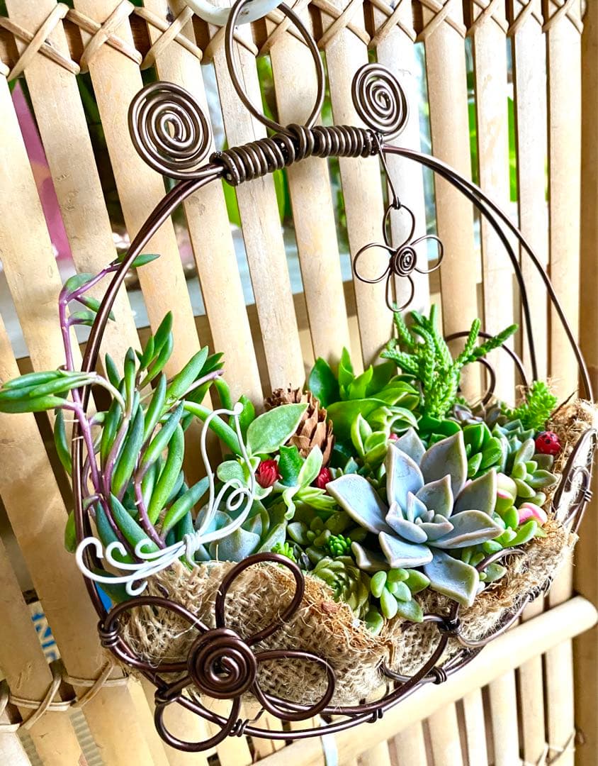 ✿多肉寄せ植え✿ワイヤークラフト✿そのまま飾れます
