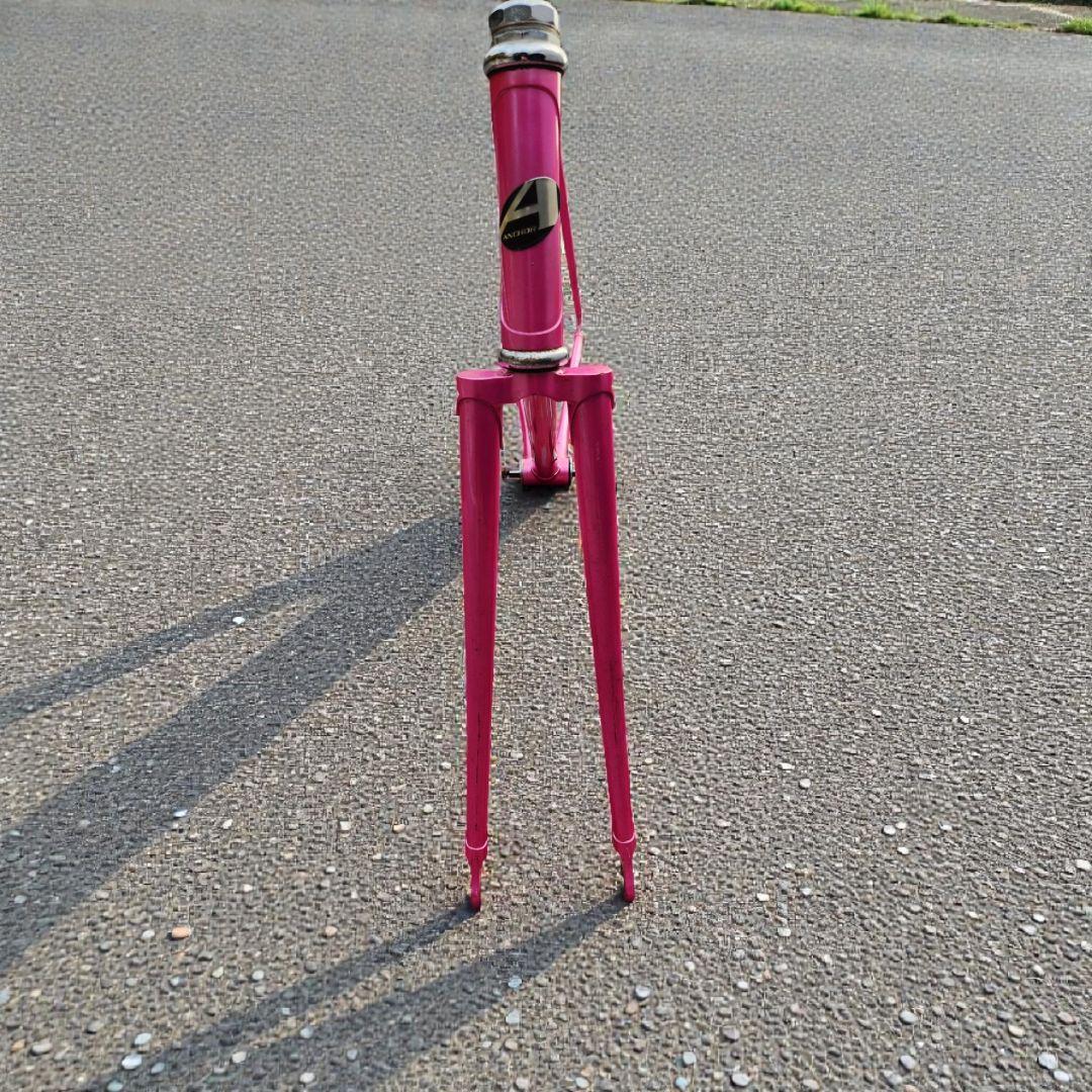 ブリヂストンANCHOR neo-cotピストフレーム 激レア