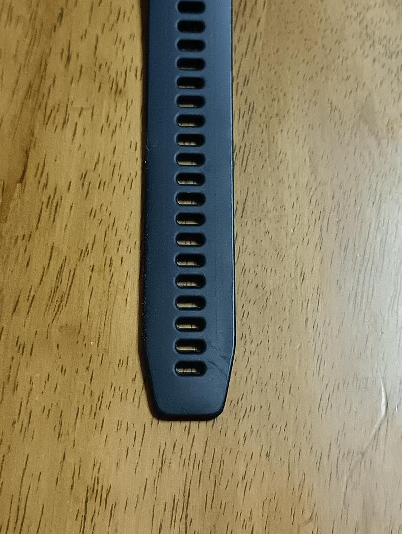 GARMIN Approach S40 GPSナビ