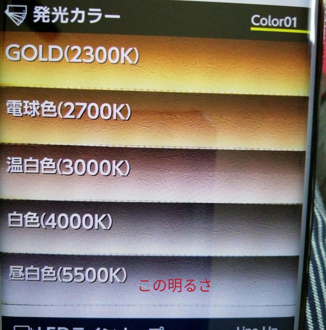 illumica LEDTAPE LIGHT 5m　アダプターセット