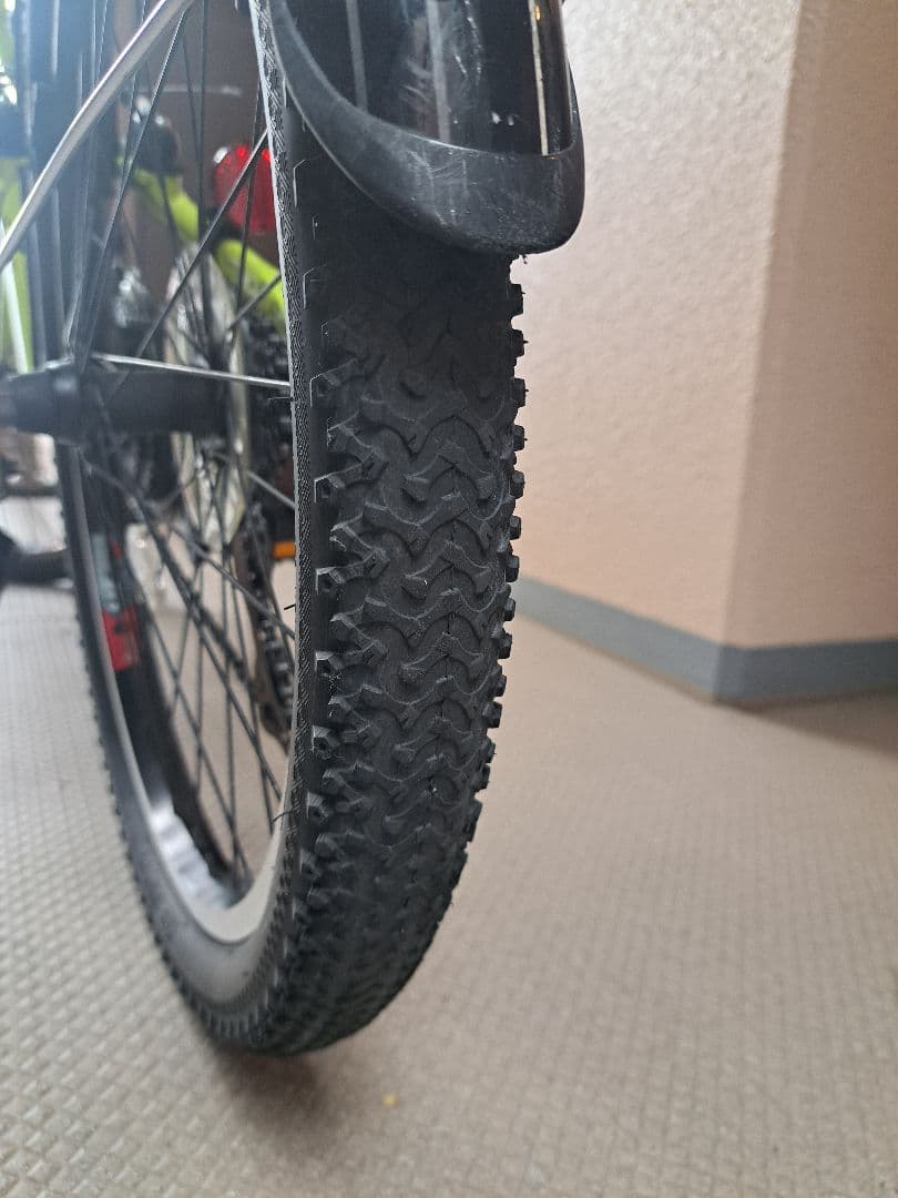 【直接受渡し可】ルイガノ LOUIS GARNEAU 22㌅ キッズ 自転車