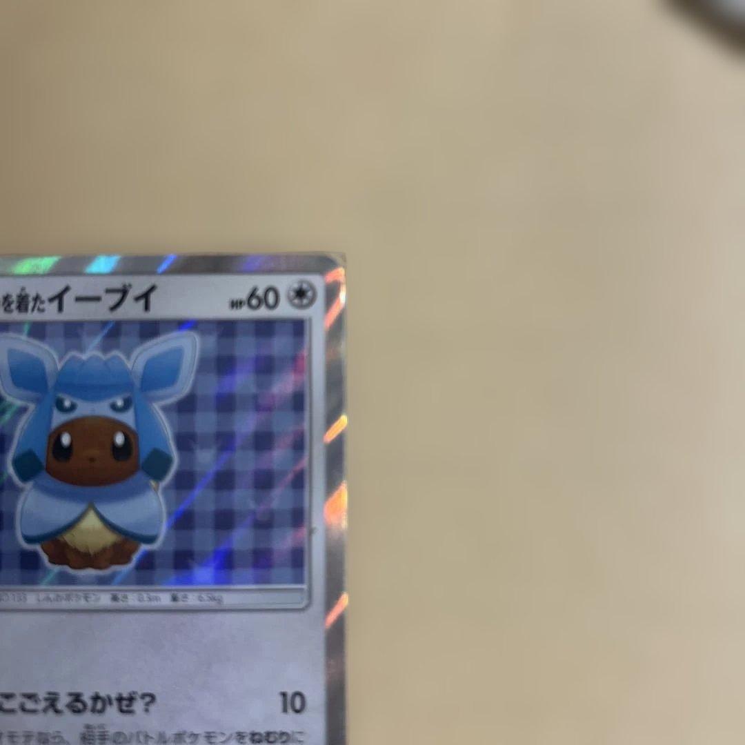 ポンチョを着たイーブイ