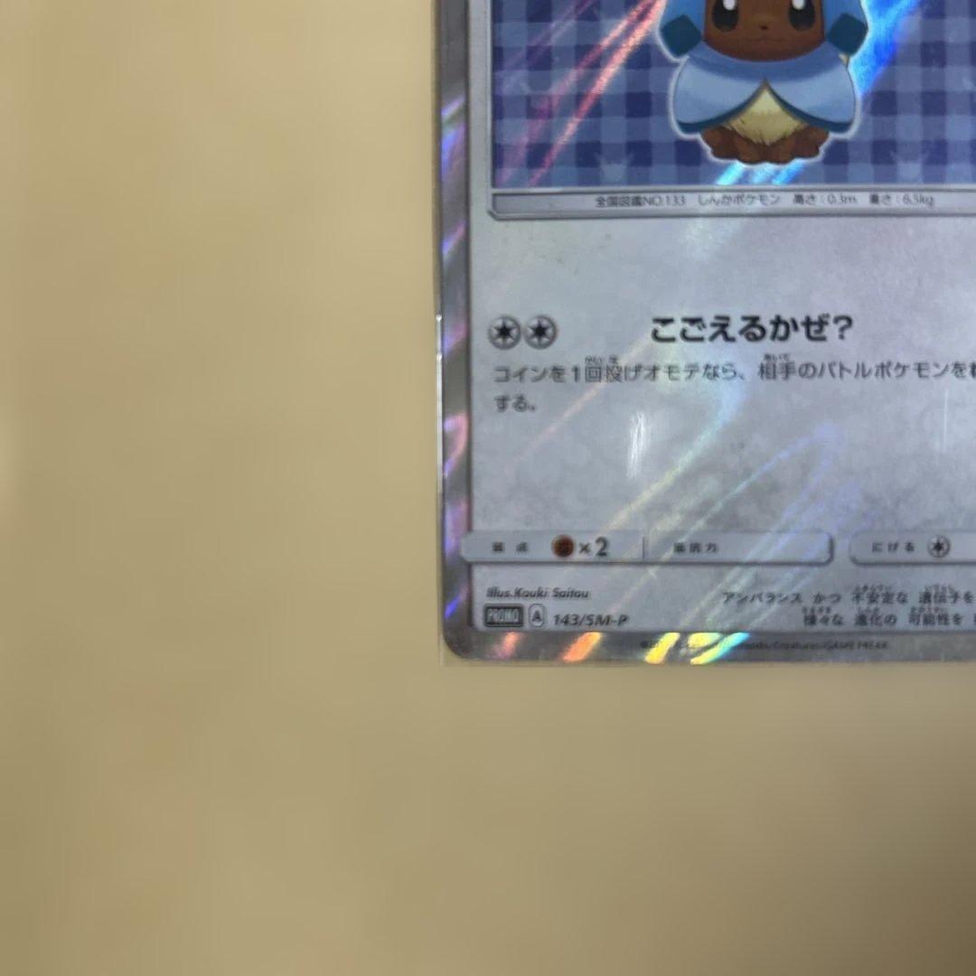 ポンチョを着たイーブイ