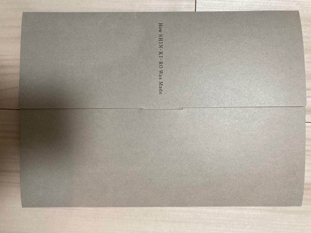 サカナクション 山口一郎 蜃気楼 SS席 パンフレット 怪獣 cdg yi