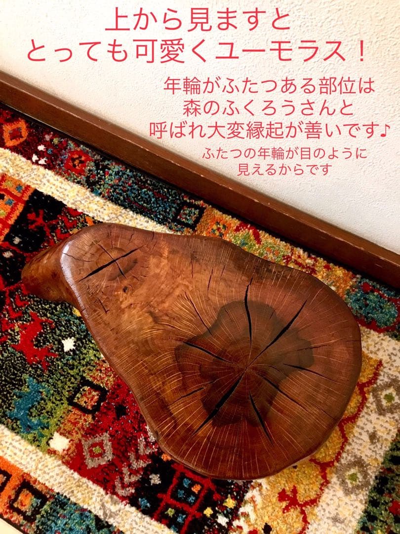 希少部位＊鮮やかな年輪ふたつ！天然楢【森と大自然の切り株ちゃぶ台】テーブル＊座卓