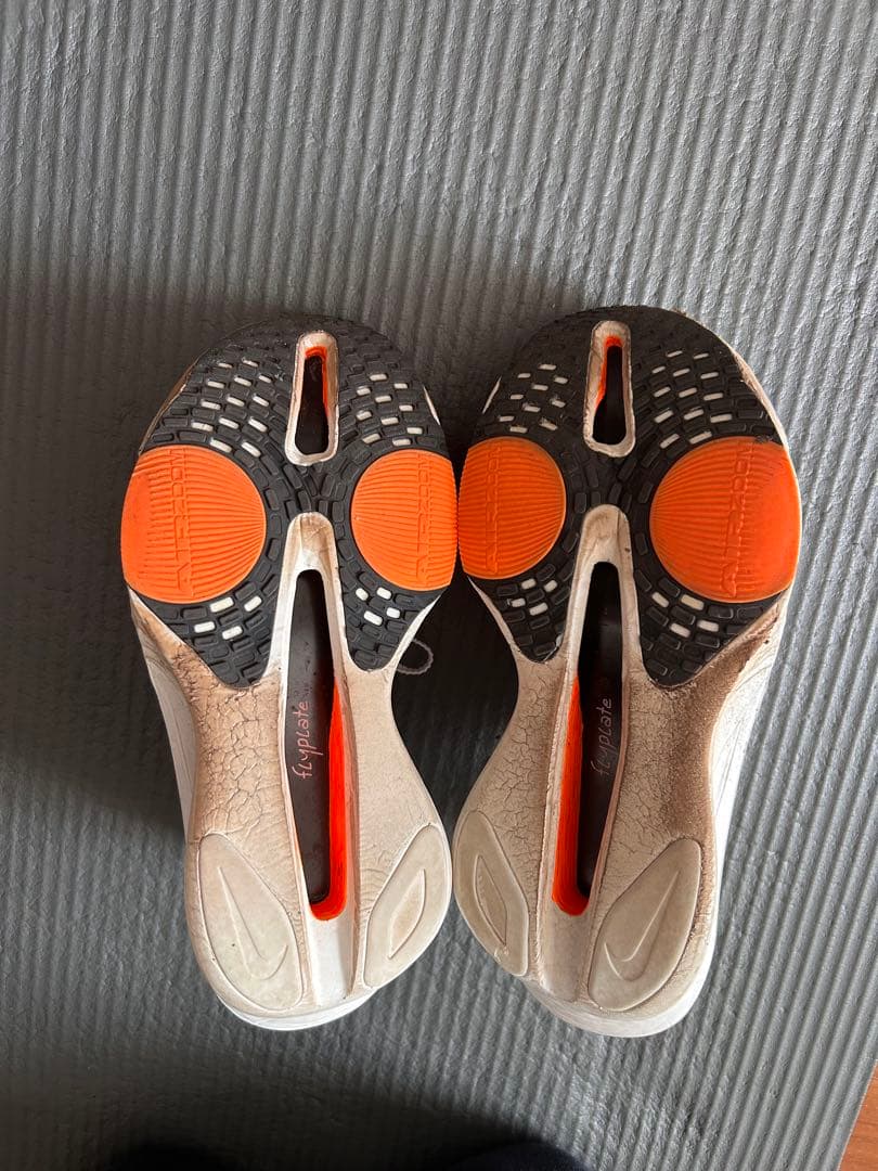スパイク・シューズ Nike Alfa fly3 26.0