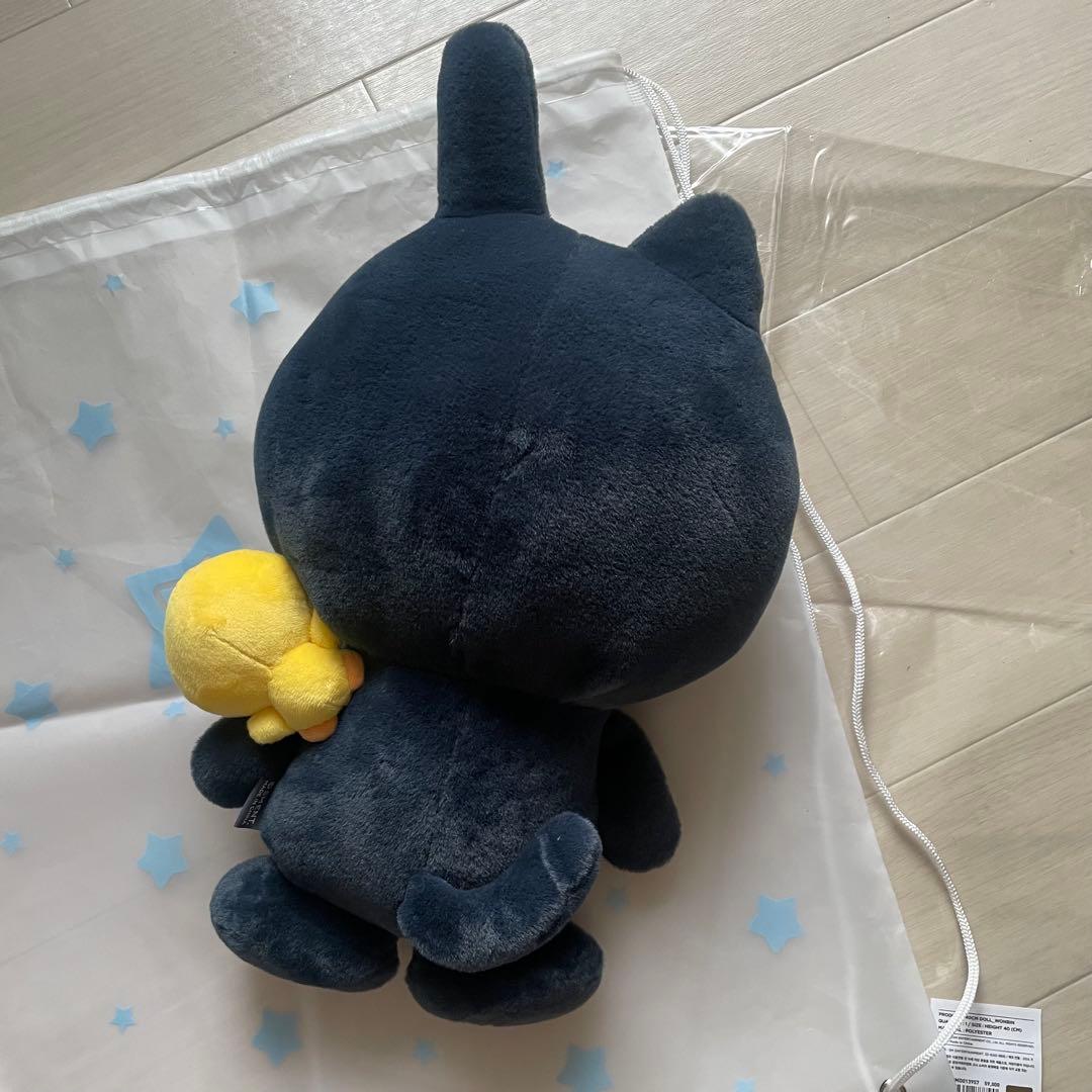 RIIZE ウォンビン トニャンドク 40cm ぬいぐるみ