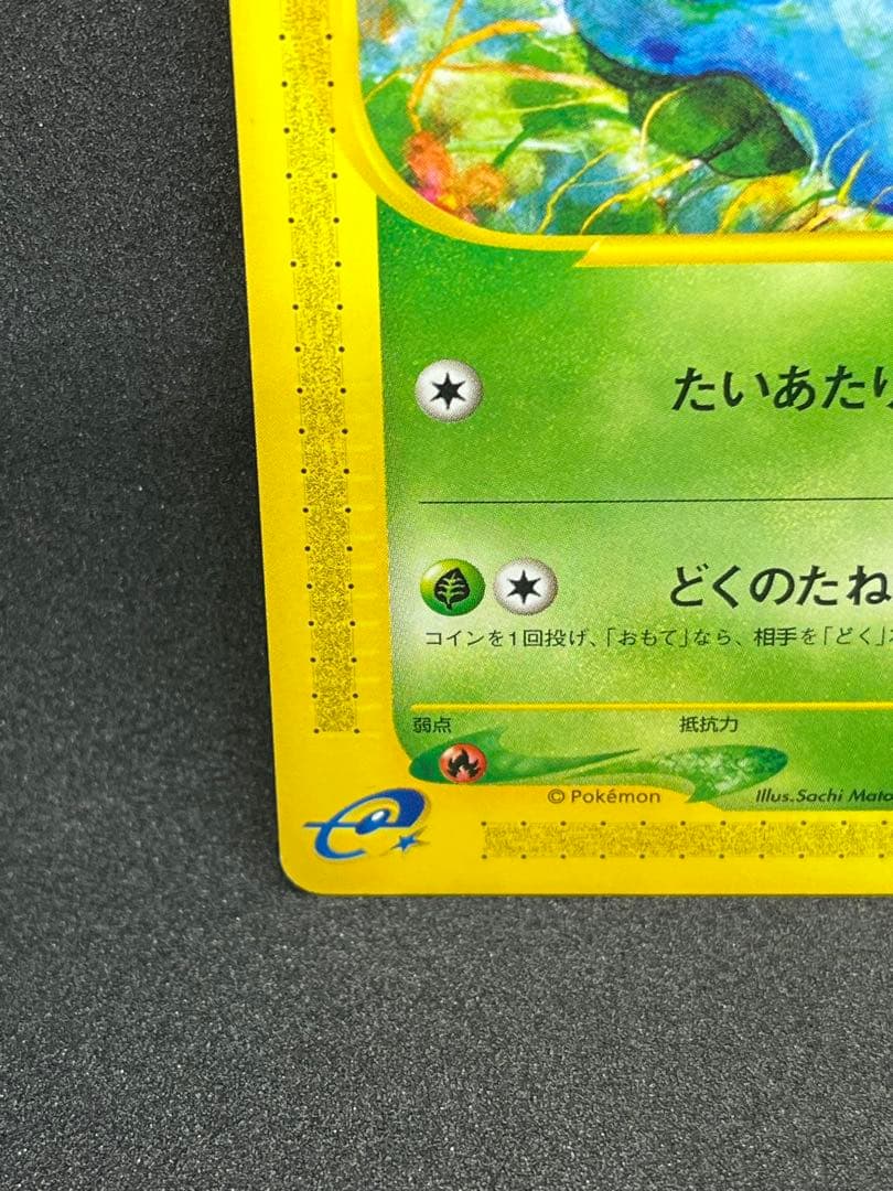 フシギダネ eカード 001/029 スターターパック 初期 Bulbasaur