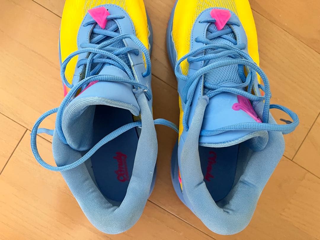 Nike Freak 6 EP バスケットボールシューズ フリーク