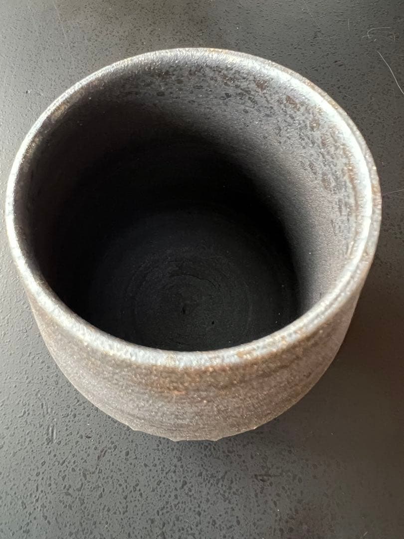 新品 吉光窯 kikko スタッズ グラス ワイングラス グラキリス 塊根植物