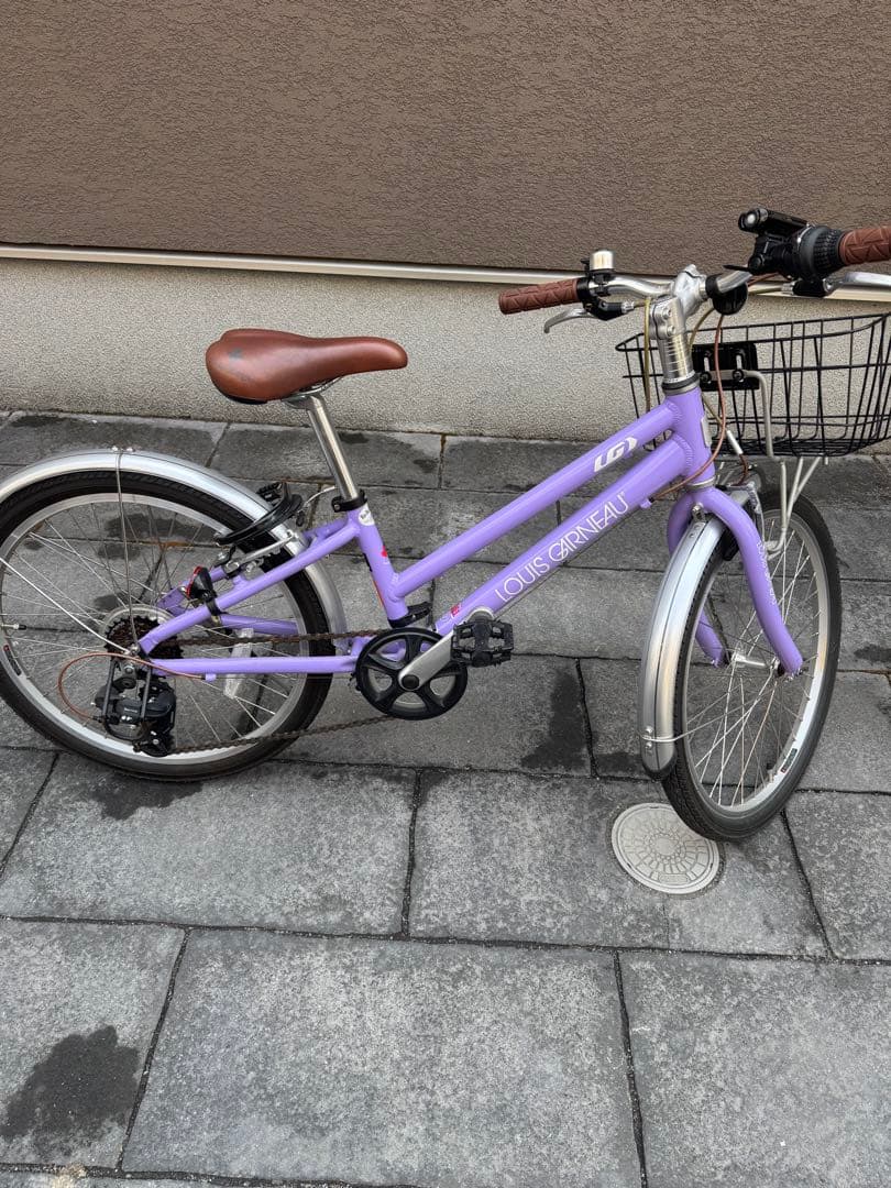 ルイガノj22 plus 22インチ