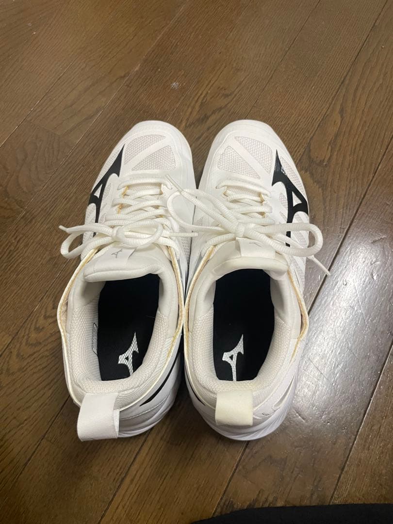 Mizuno ウェーブディメンション 26.5cm