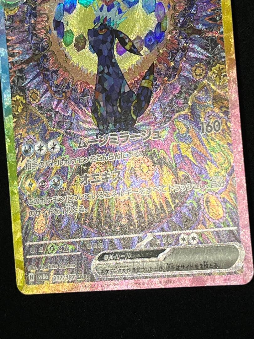 ブラッキーex SAR テラスタルフェスex