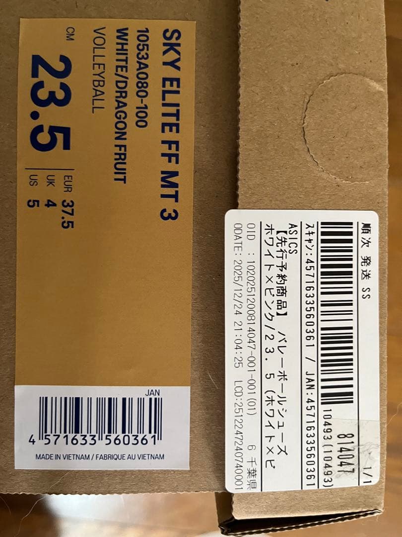 SKY ELITE FF MT 3 23.5 バレーボール　髙橋藍