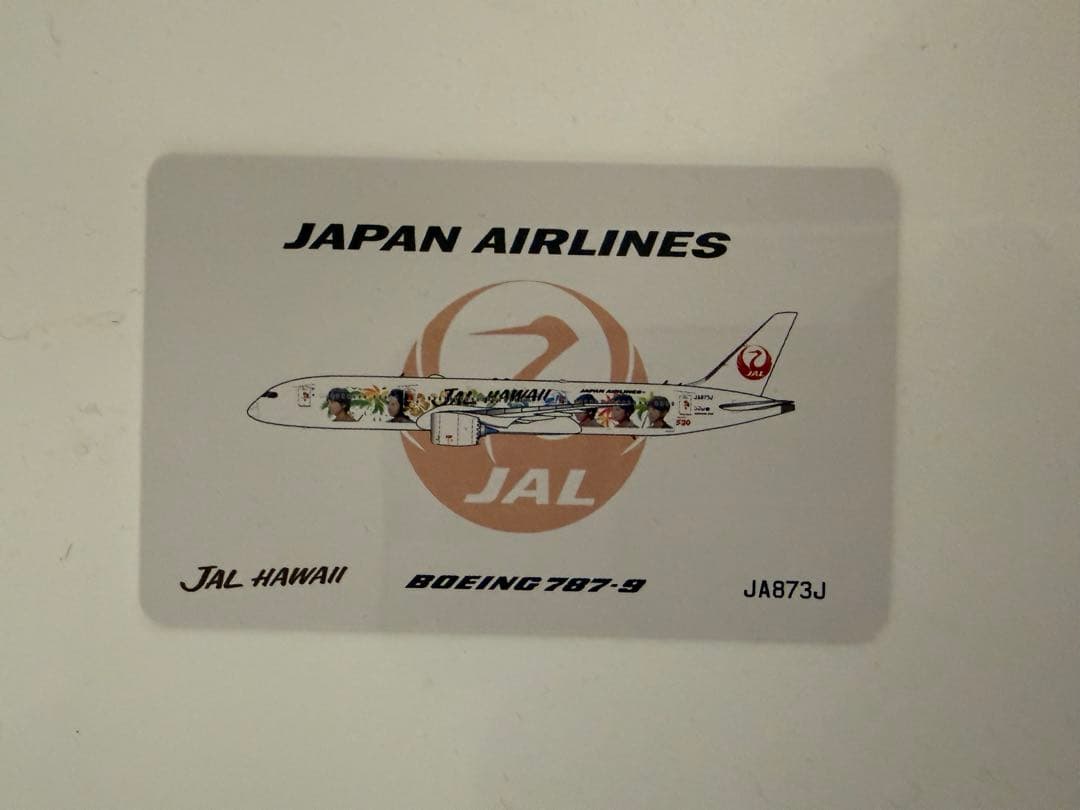 レア 嵐ジェット2機 ハワイジェット、20th嵐ジェット