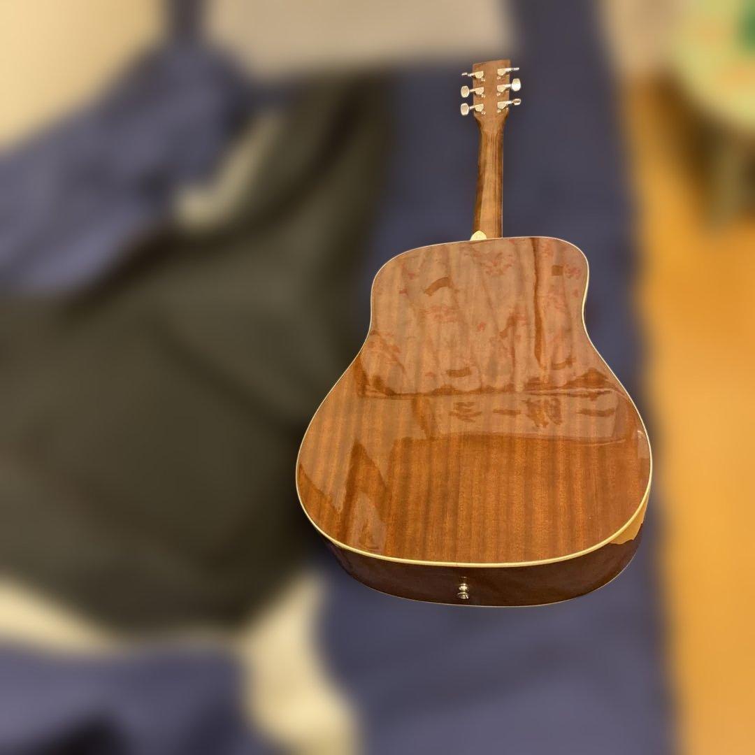 Sepia Cruz WG-10 N アコースティックギター