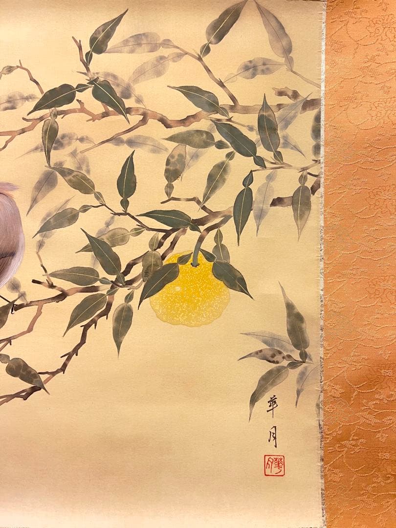華月「柚小禽」絹本 掛け軸 掛軸 絵画 茶掛 花鳥図 日本画