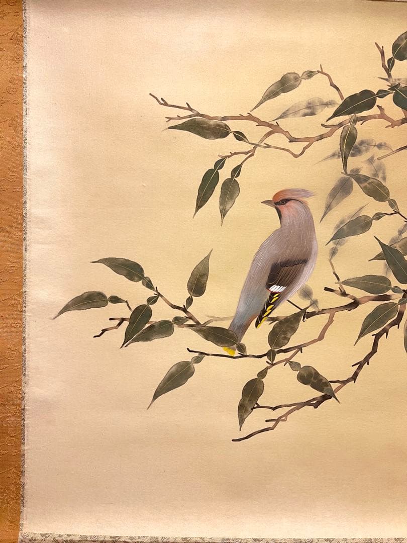 華月「柚小禽」絹本 掛け軸 掛軸 絵画 茶掛 花鳥図 日本画