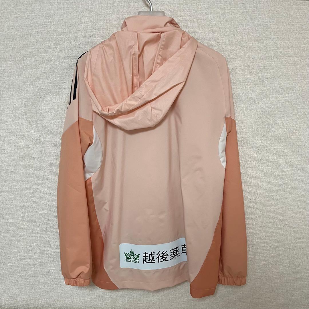 アルビレックス新潟　TIRO25コンペティションオールウェザージャケット