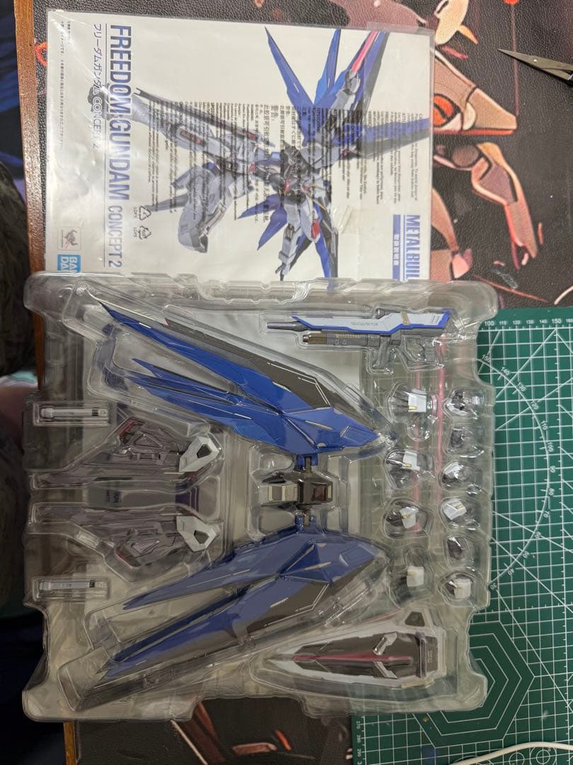 L BUILD　メタルビルド　フリーダムガンダム　concept2