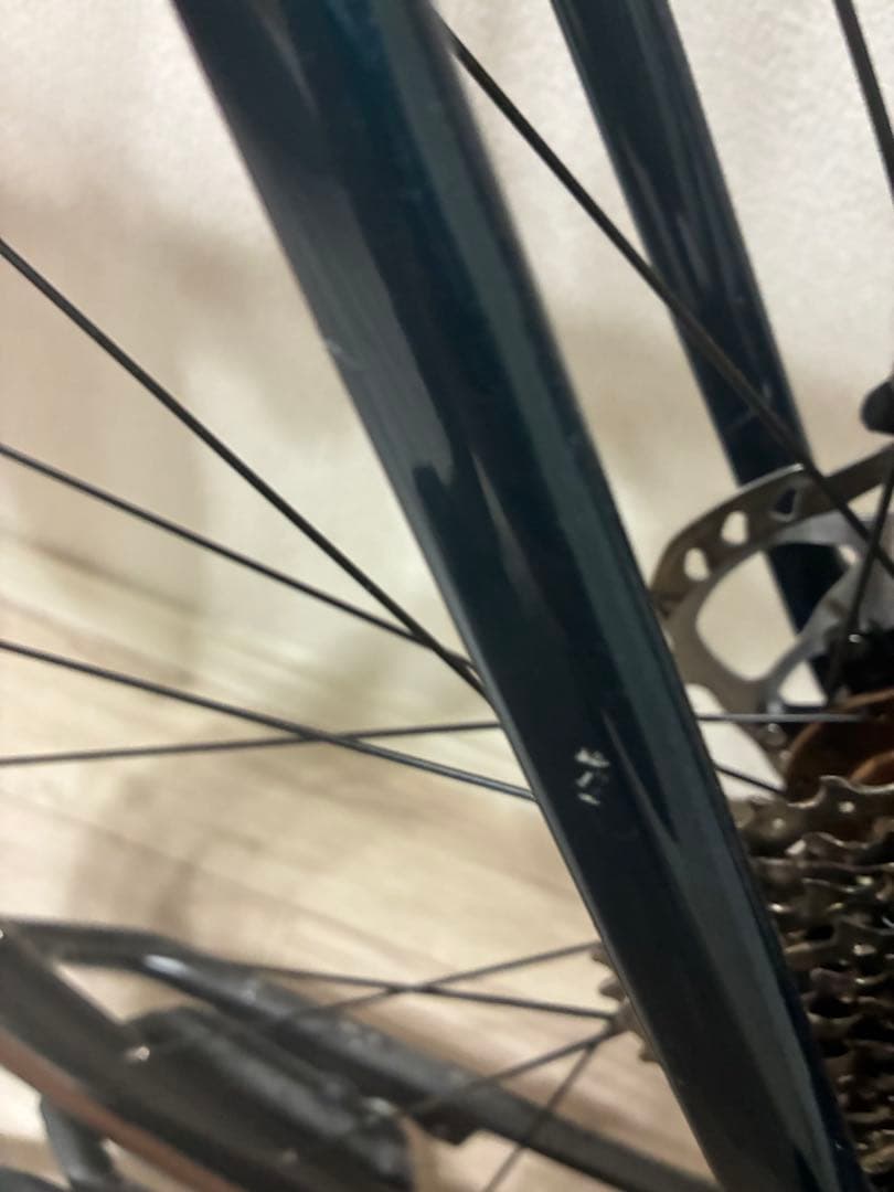 2024現行モデル　TREK Domane SL5 Gen4 12速105 52