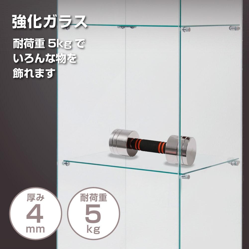 【新品】フィギュアケース 2段ワイド 棚 ホワイト コレクションケース ガラス