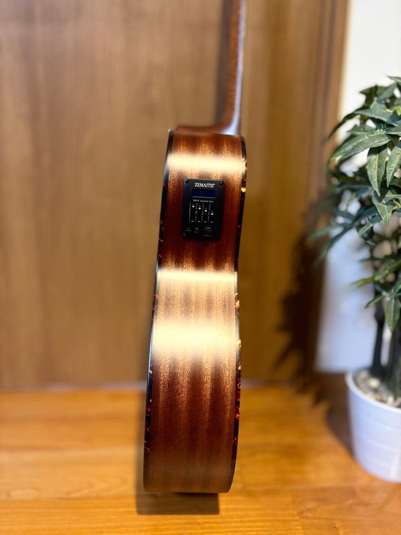 ギター　ゼマイティス　ZEMAITIS 新品未使用‼️ピック　ケース付き