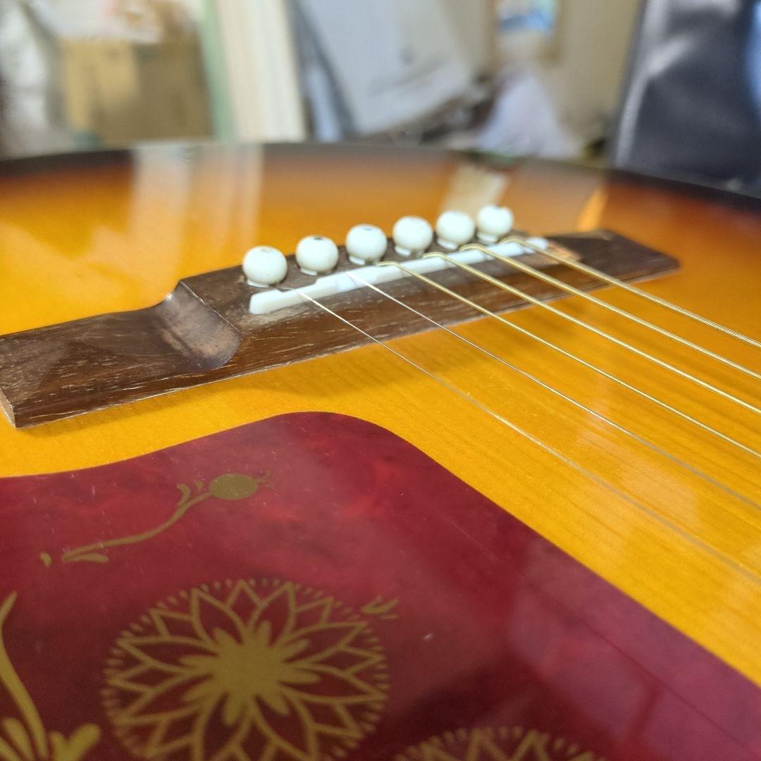 Wood Land エレアコ、 パーラーギター.WL-5