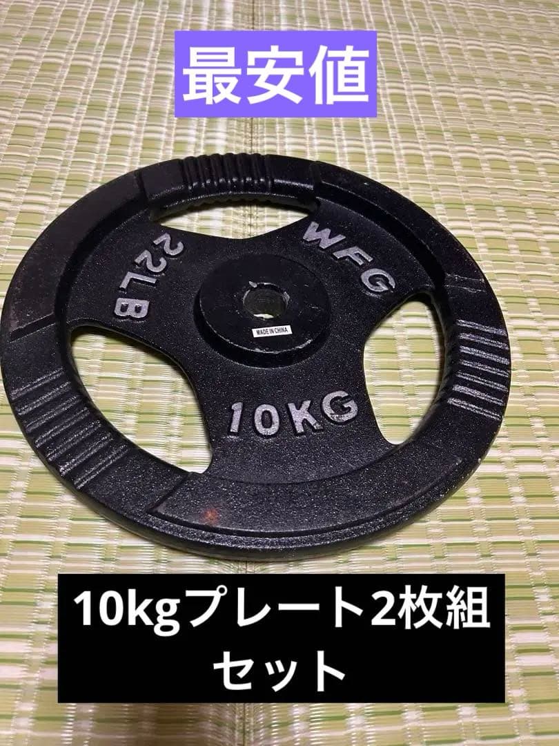 最安値WFG ワイルドフィット ダンベルプレート 10kg 2枚組セット