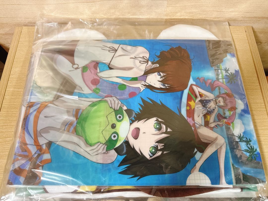 シュタゲ ゼロ 2011.04世界線 運命石の扉セット コミケ