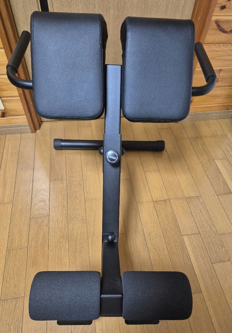 リーディング エッジ　バック エクステンション ベンチ