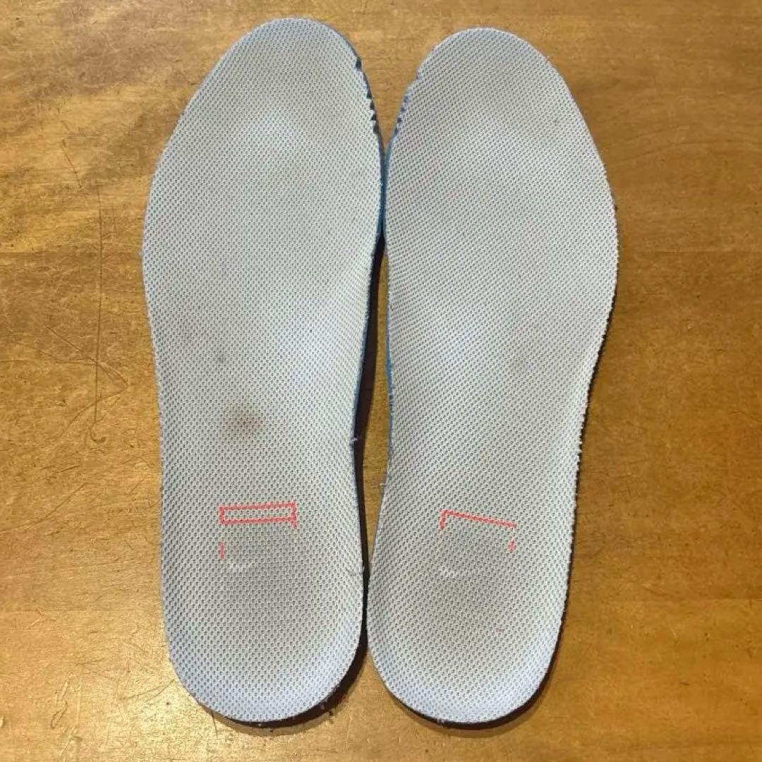 NIKE ナイキ　テニスシューズ　26.5 希少　ディミトロフ　フェデラー　美品