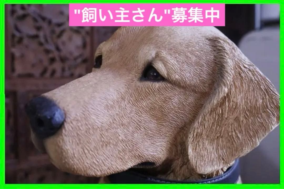 \"飼い主さん\"募集中【犬】ゴールデンレトリバー置物】大型犬