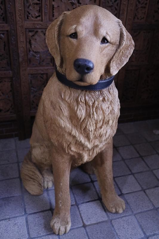 \"飼い主さん\"募集中【犬】ゴールデンレトリバー置物】大型犬