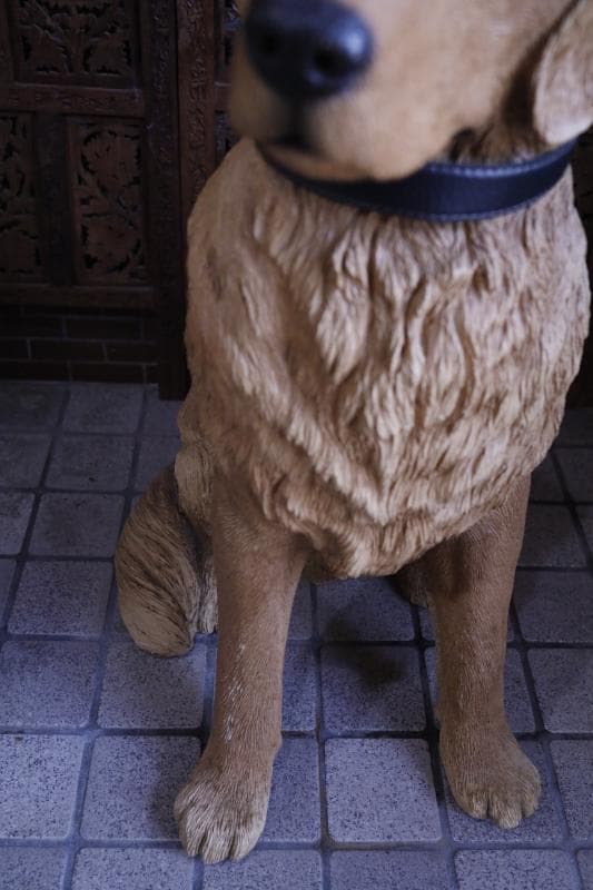 \"飼い主さん\"募集中【犬】ゴールデンレトリバー置物】大型犬