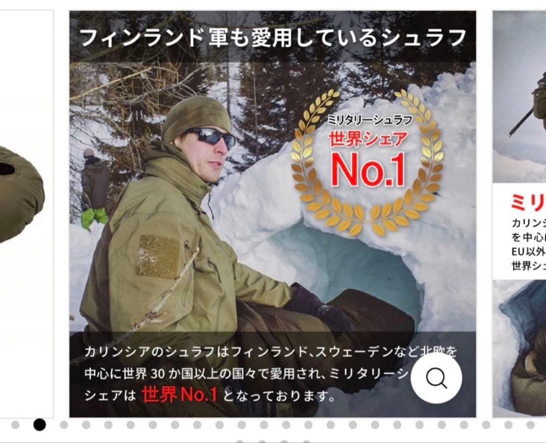 CARINTHIA Defence 1 Top 200 シュラフ Lサイズ寝袋