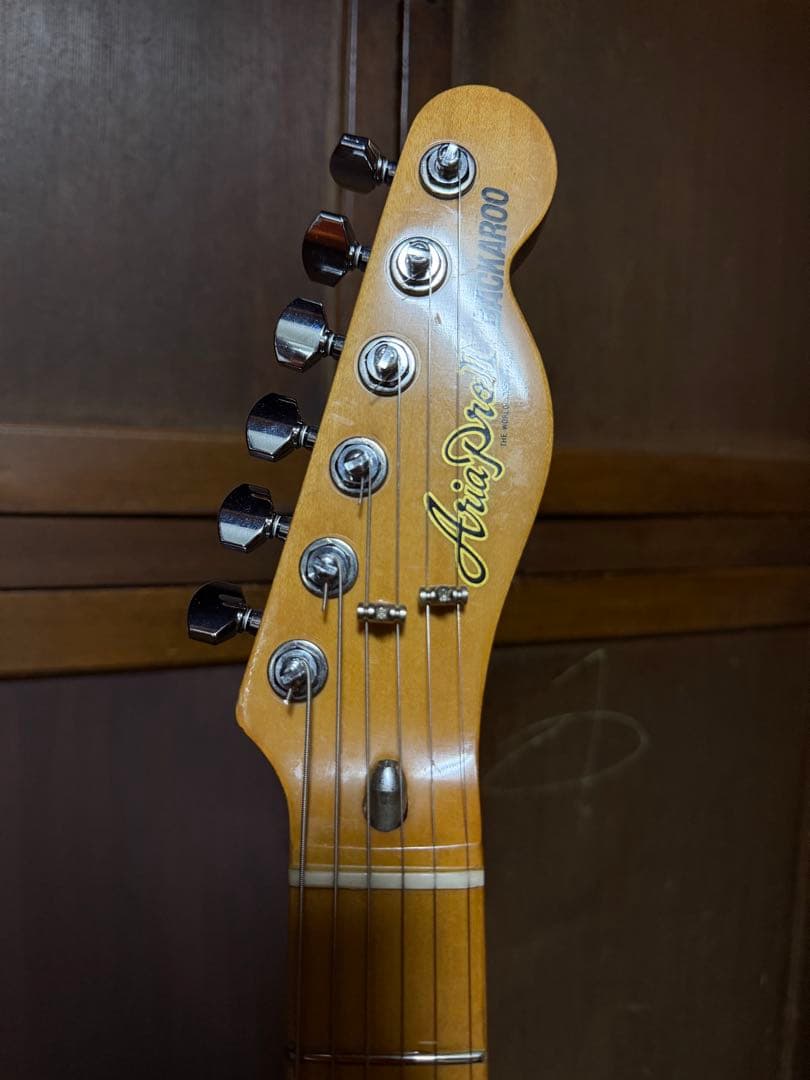 Aria ProⅡ TE-500N テレキャスターシンライン 1976 mod