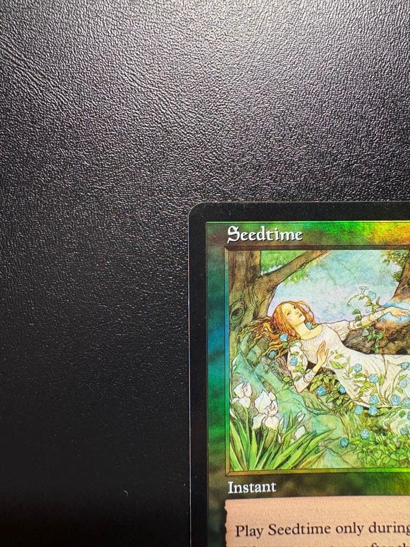 《種蒔き時/Seedtime》 Foil 英語ジャッジメント　ミドルスクール