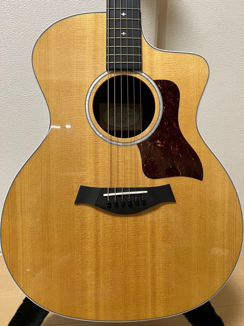 Taylor アコースティックギター ハードケース付き