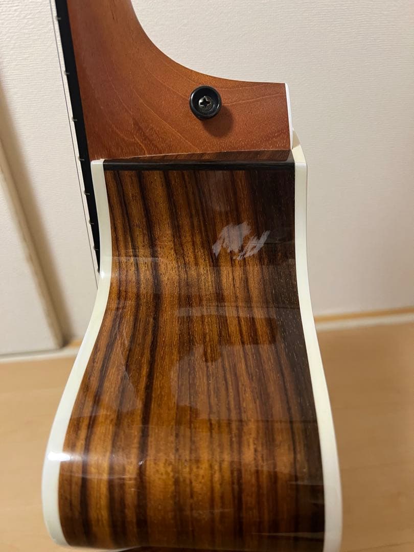 Taylor アコースティックギター ハードケース付き