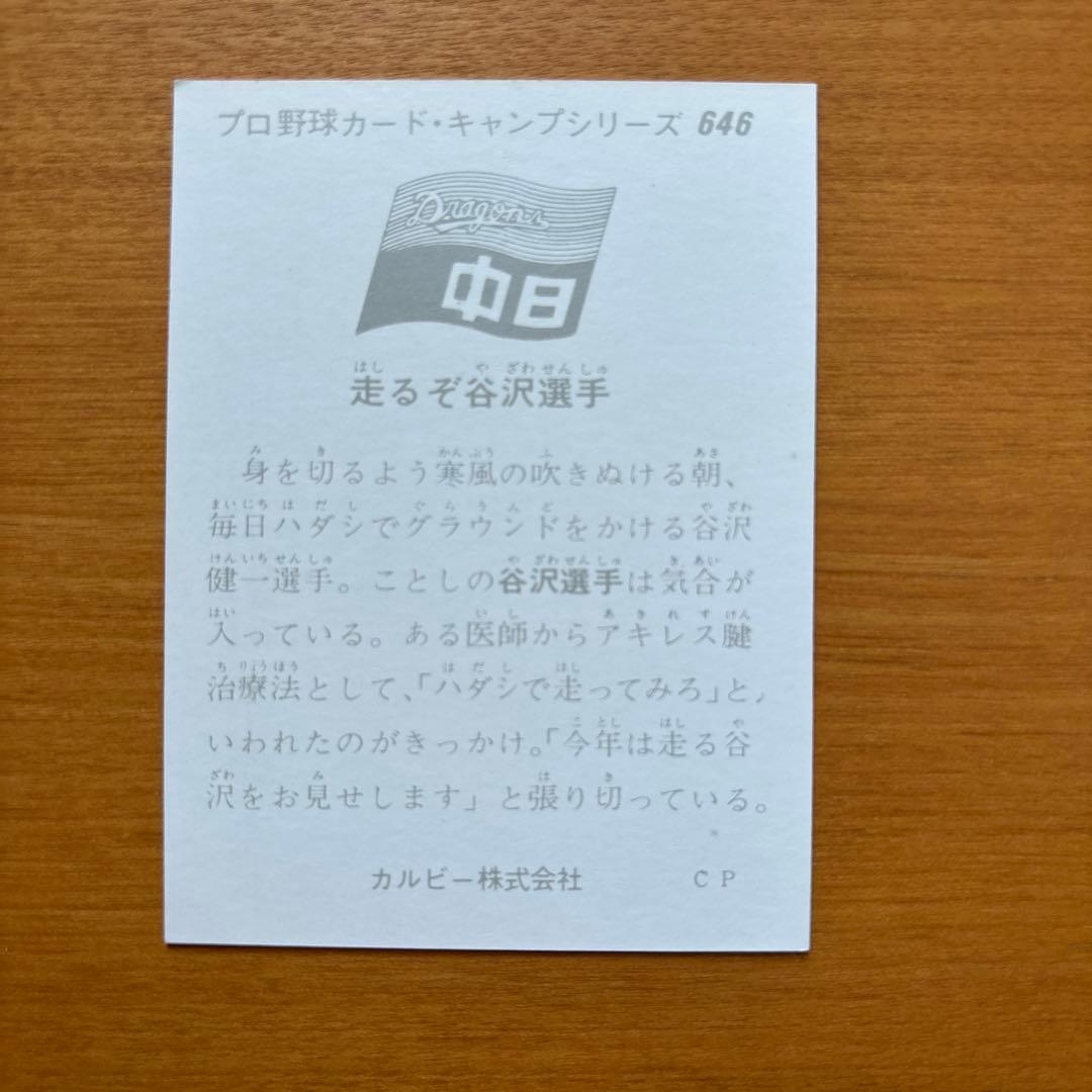 ドラゴンズレアカード6枚セット(稲葉投手、マーチン、飯田、谷沢、松本投手)